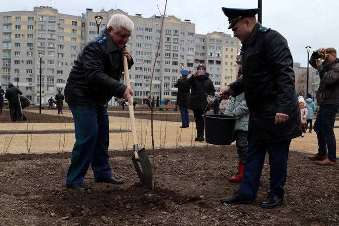В Брянске в новом сквере Рекункова высадили 58 кленов