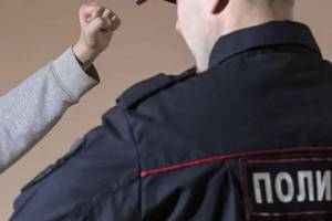 Жителя Новозыбкова оштрафовали на 60 тысяч рублей за избиение полицейского