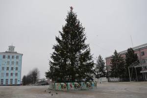 В Новозыбкове брянцы попрощались с новогодней елкой