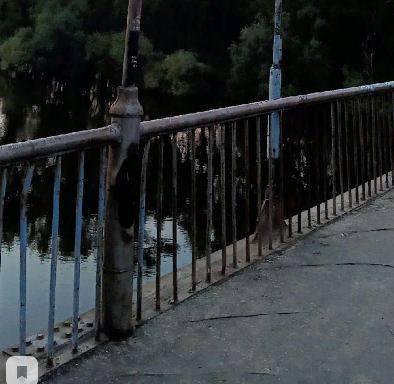 В Брянске активисты покрасят мост в Соловьях