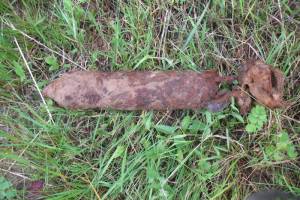 В лесу возле брянского села Майский Жук нашли минометную мину