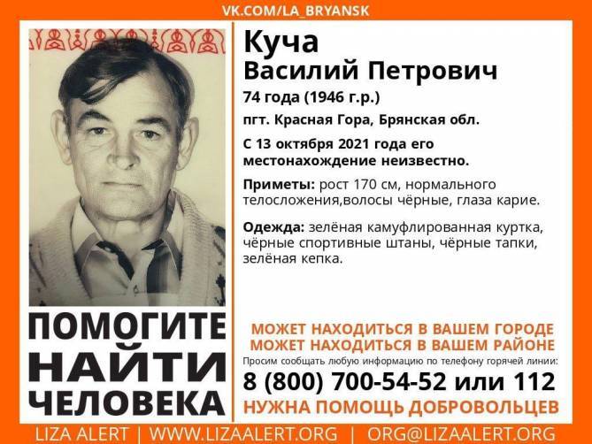 Пропавшего в Красной Горе 74-летнего Василия Куча нашли мертвым