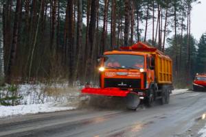 На брянские дороги за сутки высыпали 5274 тонны песка и соли