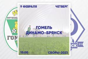 Брянское «Динамо» 9 февраля проведет первый товарищеский матч