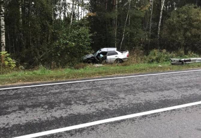 Под Климово водитель Mitsubishi врезался в дерево и сломал кости таза