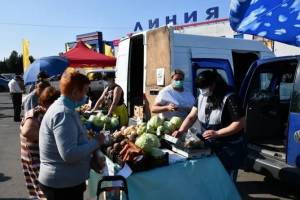 Вице-премьер России назвала брянские овощные ярмарки одними из лучших