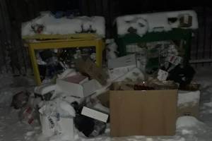 В Брянской области за новогодние праздники вывезли 900 тонн мусора