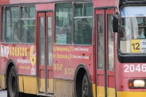 Водители брянских троллейбусов уезжают за деньгами в Москву
