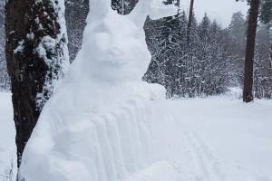 В брянском лесу появился снежный заяц с гармонью