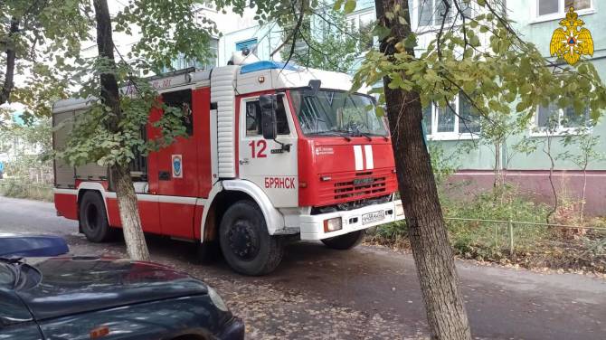 В Брянске из горящей пятиэтажки эвакуировали 9 человек