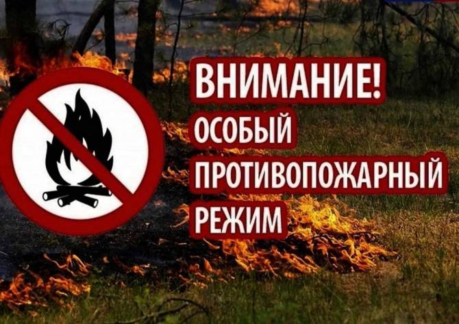 В Брянской области ввели особый противопожарный режим