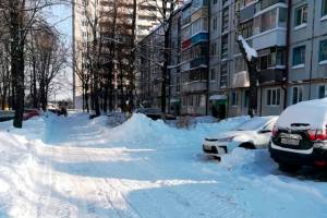 В Брянске отчитались об успехах в борьбе со снегом