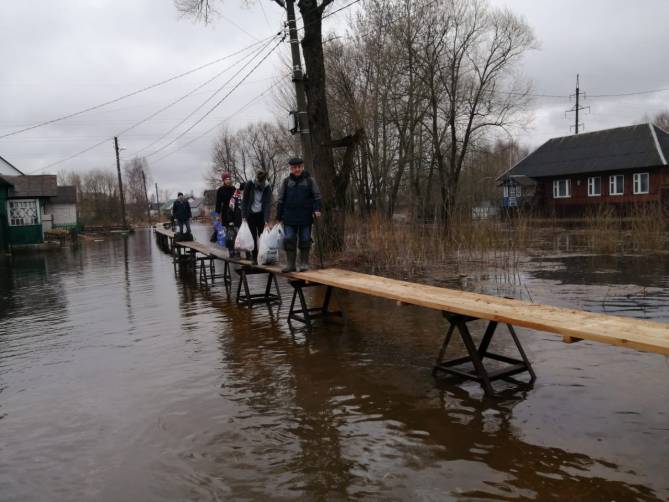 В Брянске из-за паводка ушли под воду 413 приусадебных участков