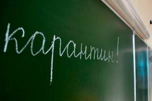 В Новозыбкове из-за вспышки гепатита А школьников отправили на удаленку