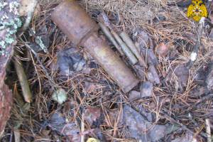 В поле возле Сещи нашли гранату времён войны