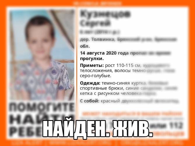 В Брянской области нашли живым пропавшего 6-летнего мальчика