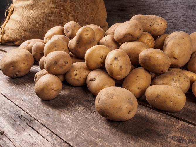 В Брянской области на 32% увеличилась урожайность картофеля