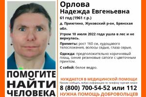 В Брянской области ушла в лес и пропала 61-летняя Надежда Орлова
