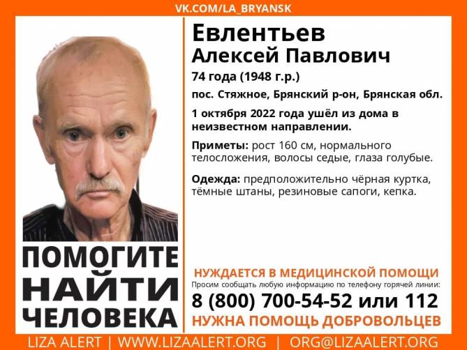 В Брянске ищут 74-летнего пенсионера