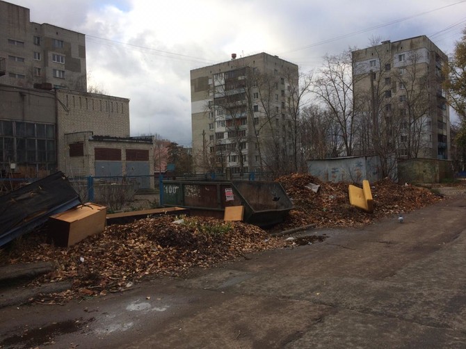 В Брянске сфотографировали свалку на улице Камозина