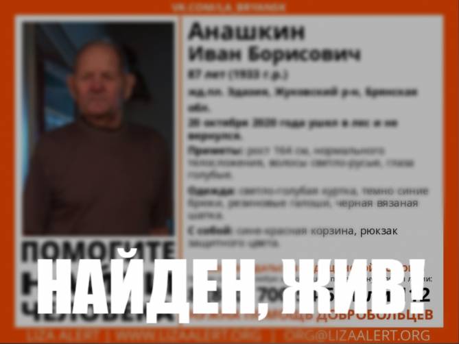 Пропавшего под Жуковкой пенсионера нашли живым