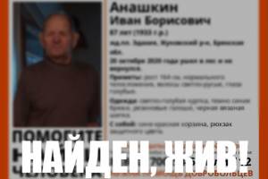 Пропавшего под Жуковкой пенсионера нашли живым