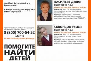 В Брянской области нашли живыми двоих пропавших детей