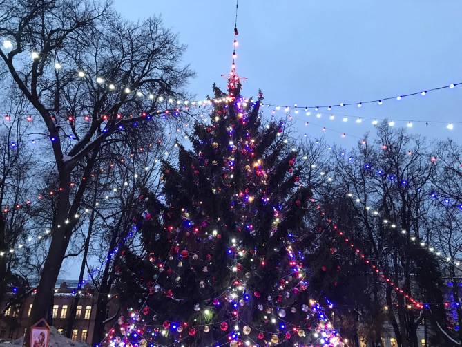 В Брянске на главной городской ёлке зажгли 500 лампочек в цветах триколора 