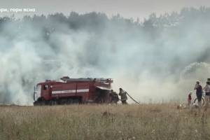 На Брянщине участились случаи сжигания травы на полях
