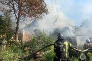 В Брянске на Лесной предотвратили массовый пожар