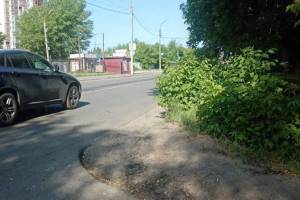 В Брянске на улице Спартаковской заметили опасные для водителей кусты