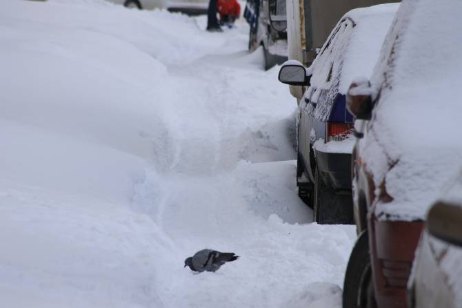 В Брянске после снегопадов катастрофически сузились дороги