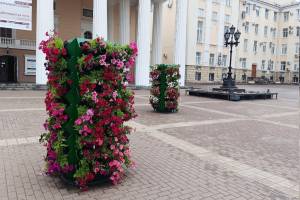 В Брянске обновили клумбы вертикального озеленения