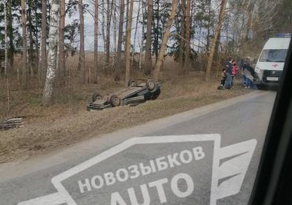 В Новозыбковском районе легковушка вылетела в кювет