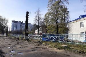 Брянцев возмутила вырубка тополей рядом со школой №14