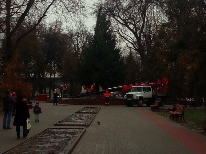 Главную новогоднюю елку города установили в Брянске 