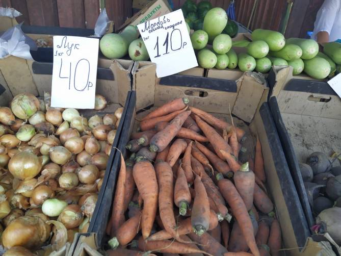 В «процветающей» Брянской агро-области взлетели цены на морковь 