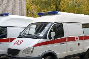 В Климово пьяный водитель отправил Renault в дерево: ранена женщина