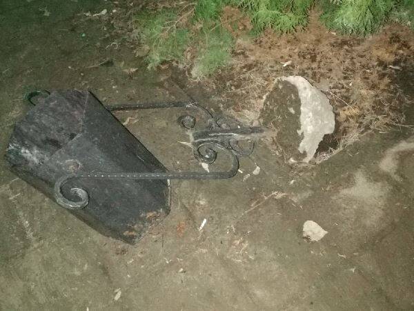 В Брянске вандалы-подростки «вырвали с корнем» мусорку