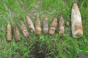 В Комаричском районе нашли 8 противопехотных гранат