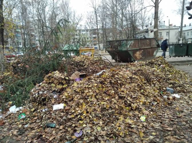 В Брянске на Новом городке появилась большая свалка из опавшей листвы