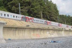 РЖД возвращает поезда из Брянска в Сочи и Анапу