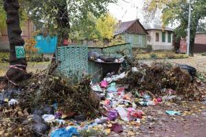 Рогнединских чиновников наказали за мусорные свалки