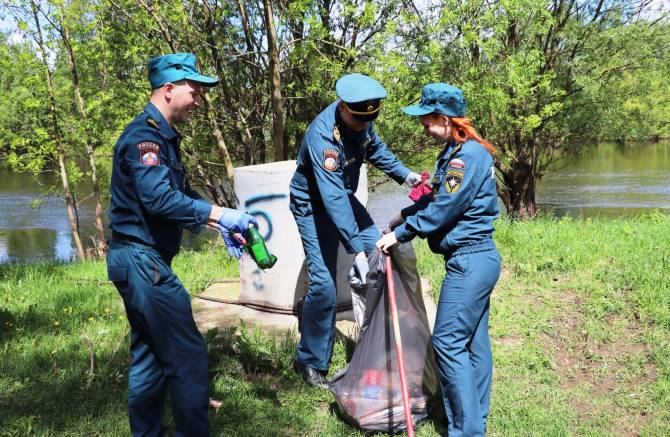Брянские спасатели очистили берег Десны от мусора