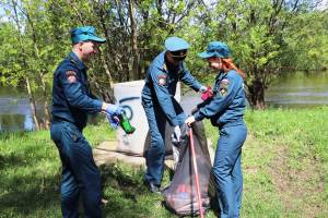 Брянские спасатели очистили берег Десны от мусора