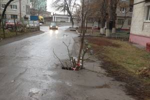 В Брянске образовался провал на переулке Новозыбковском