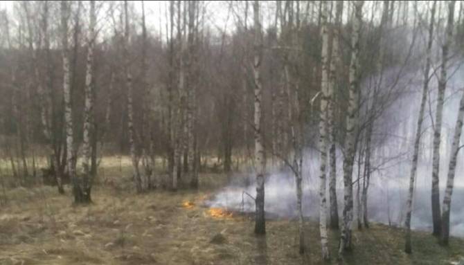 В Жуковском районе несколько часов тушили горящую траву