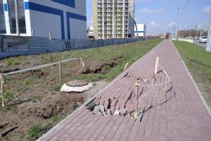 В Брянске разрушенный тротуар у Дворца единоборств восстановит подрядчик