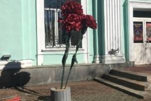 У входа в администрацию Володарки поставили «могильные» цветы