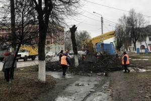 В Брянске продолжили уничтожать деревья на улице Ульянова